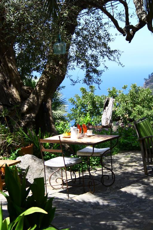 Sa Plana Petit Hotel Estellencs  Exterior photo