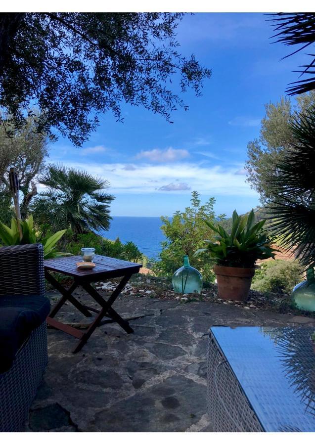 Sa Plana Petit Hotel Estellencs  Exterior photo