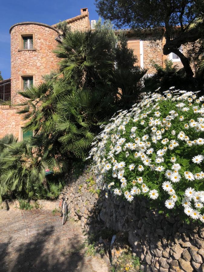 Sa Plana Petit Hotel Estellencs  Exterior photo